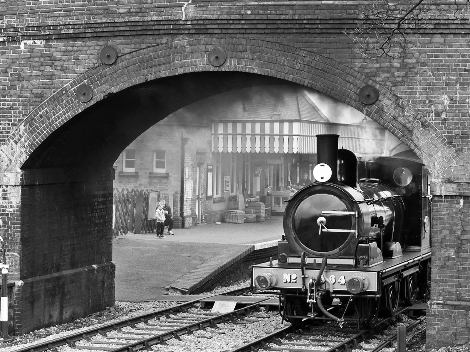 Young and Old - Brian Moyse